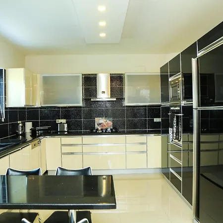 别墅 Hot Tub-fireplace-pets-sleeps 11-bbq-pool-parking 达利安